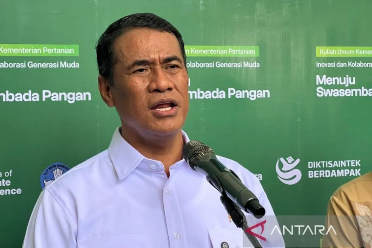 Amran Ungkap Dugaan Pelanggaran 25 Merek Beras Fortifikasi, Kandungan Gizi hingga Label Jadi Sorotan